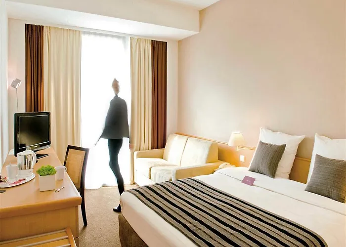 图卢兹中心圣乔治美居酒店 4* 圖盧茲